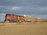 CP 609 led by CP 9833 & BNSF 5103 head westbound thru Haycroft with 21 autoracks and an empty crude oil train.