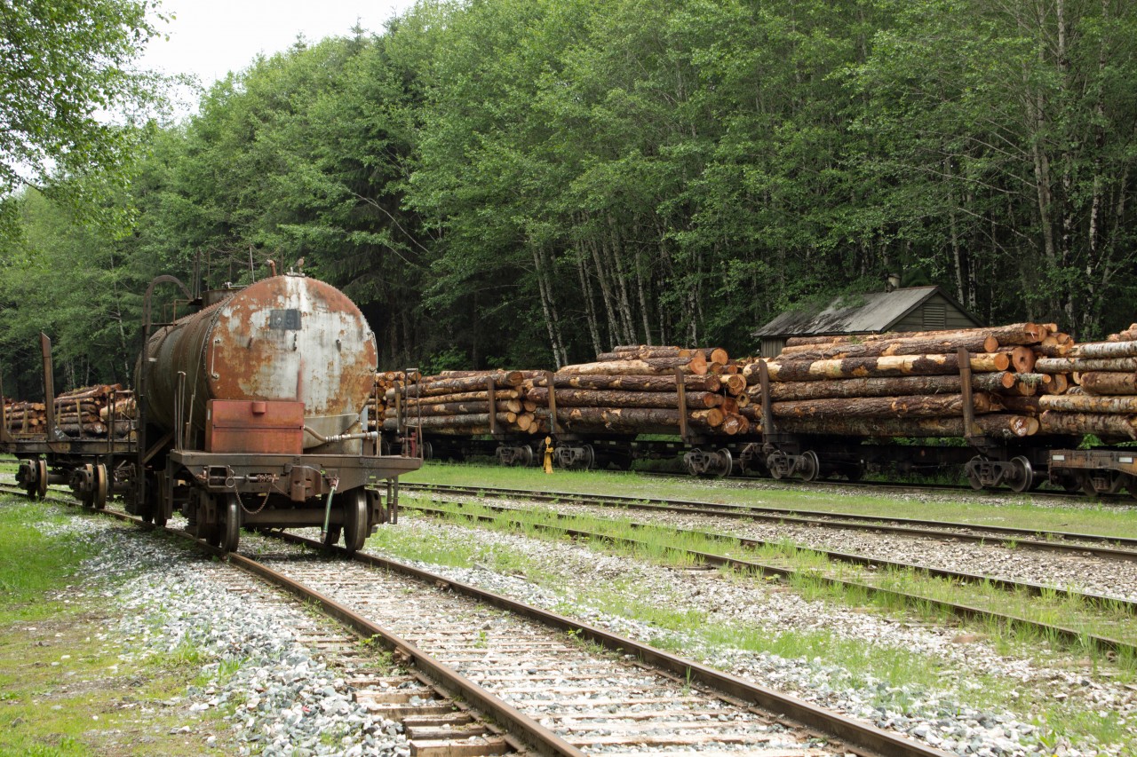 Western Forest Products logging railroad yard at Beaver Cove.  Carloads of logs waiting to be sorted and assembled into booms for water tow by tugboats.  This is the only dedicated logging railroad still operating in Canada.
