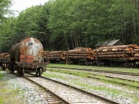[Editors note: remoteness and rarity of anyone really going here will allow this in] Western Forest Products logging railroad yard at Beaver Cove.  Carloads of logs waiting to be sorted and assembled into booms for water tow by tugboats.  This is the only dedicated logging railroad still operating in Canada. 