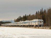 New power for The Skeena. The rumours were true. VIA Rail has sent 2 RDCs to Jasper for testing and presumable use on trains #5 and #6 between Jasper and Prince Rupert. VIA 6251 and 6219 are tacked onto the tailend of The Canadian passing through Pedley, AB.