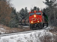 Rounding the flange squealing curve at mile 38.38, CN 2307 leads 302's train towards it's meet with train 301 at Pine Orchard, the fourth of five meets this day for the 301 in at Pine Orchard. On the rear of the train, CN 2240 assists as the DPU. 1231hrs.