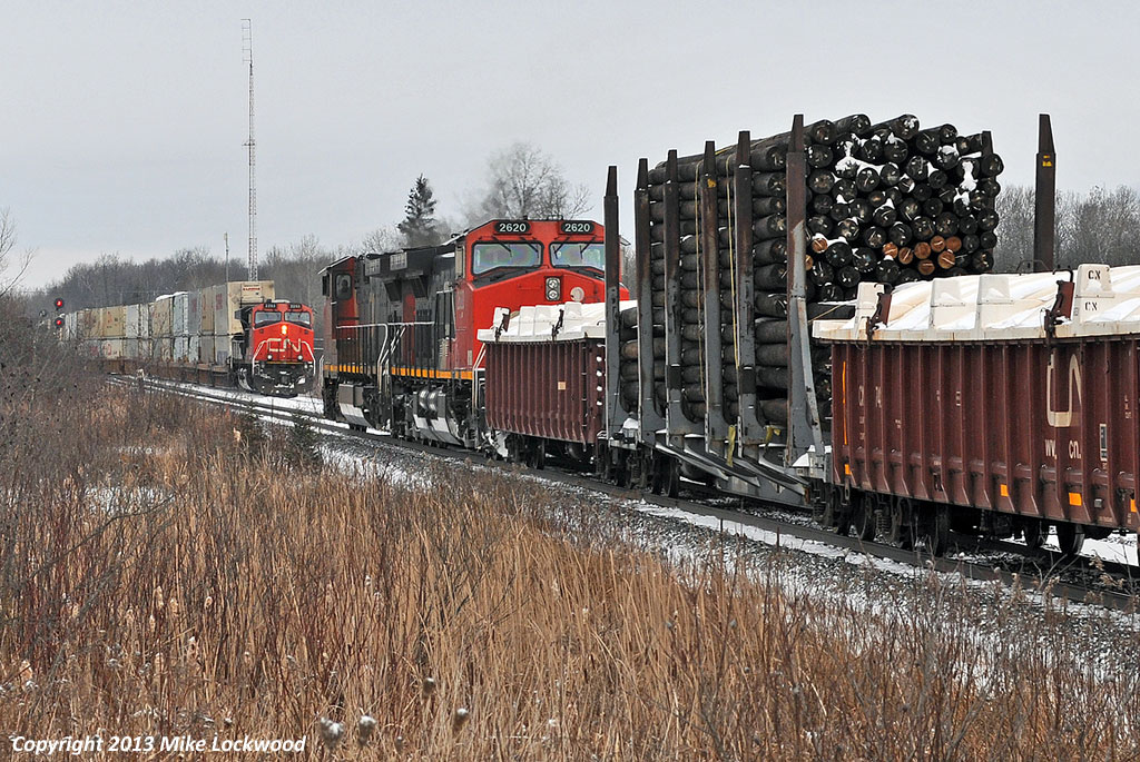 Having rotted in the siding at Pine Orchard for about two hours to meet five southbound freights, CN 2560 and 2620 have 301's train on the main at Zephyr to meet CN 2253 leading a 114 into the siding. Have to hand it to 301's crew as they were exceptionally gracious after being told they'd meet three, then four, and finally a fifth at Pine Orchard, plus three more somewhere south of Washago. 1325hrs.