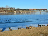 <B><I>CP on CN tracks!</I></B> By a cold morning, under the regards of the ducks, CN 710 pass over the Richelieu river with a colorful consist ; CP 9500 (GE AC4400CW), CN 2663 (GE Dash 9-44CW), BNSF 4157 (GE Dash 9-44CW). 