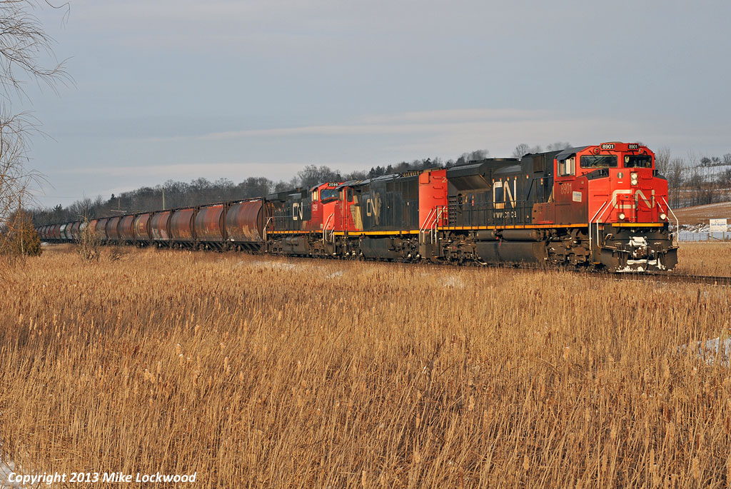 Just south of the hamlet of Cedarbrae, Ontario, CN 874 warms itself during a brief moment of sun on an otherwise gray day. Midway through the 102 car train, the sun surrendered to the omnipresent cloud cover. Of the 102 cars, 93 were SKNX Saskatchewan grain hoppers of both the original and green repaint variety. Quite a treat for fans of the SASK cars, or a fan of the cylindrical covered hopper in general. CN 8901, 2442, and 2598 do the honours (well, not 2598 in this shot as she had shutdown, but the crew got her restarted a few miles later for the climb up the moraine). 1456hrs.