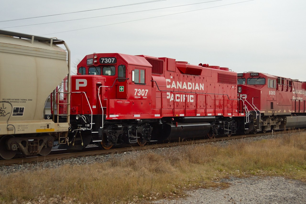 CP 7307 after receiving a fresh rebuild and repaint at NRE in Silvis IL, trails on an eastbound CP freight thru Tilbury.
