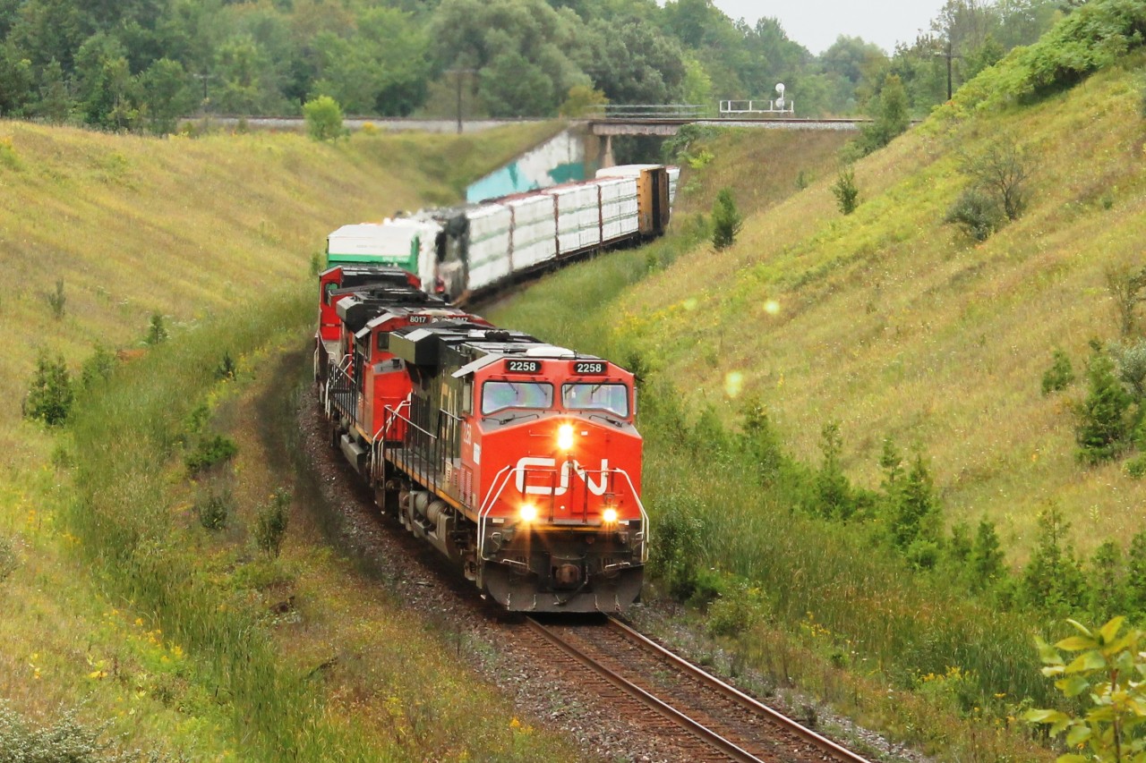 A long eastbound train struggles up the bank towards Toronto passing under the CP bridge. Seen from the bridge on Plug Hat Road near Toronto zoo.