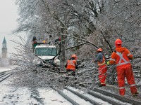 Engineering forces are out and about clearing off down trees from the right of way as seen here along Canadian Pacific's North Toronto Subdivision.
