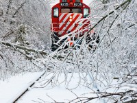 Clearing away the trees from last nights ice storm. 