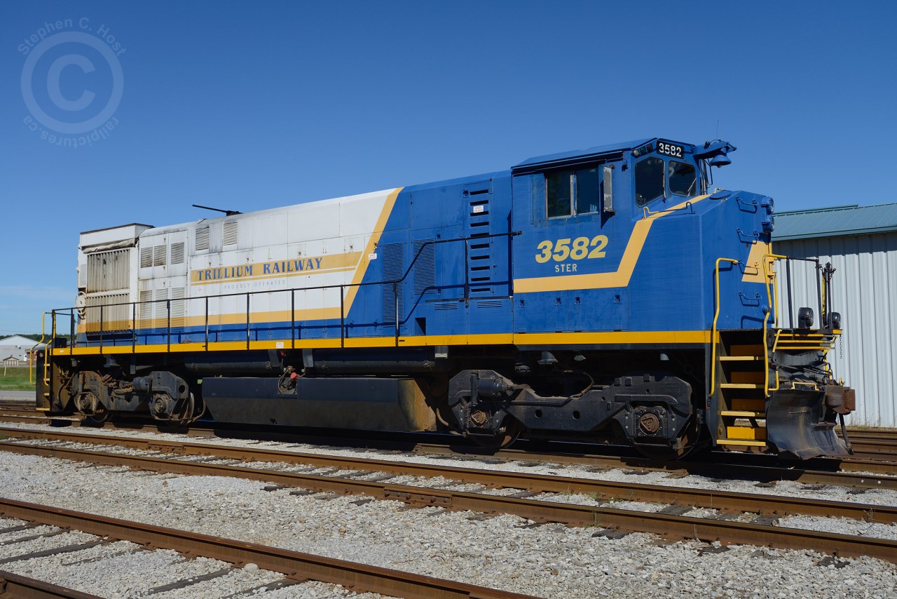 Blah My only shot of STER came this year in September - but I was lucky to find STER 3582 on the property - for what seems like only a brief period of time in recent years. Sigh.