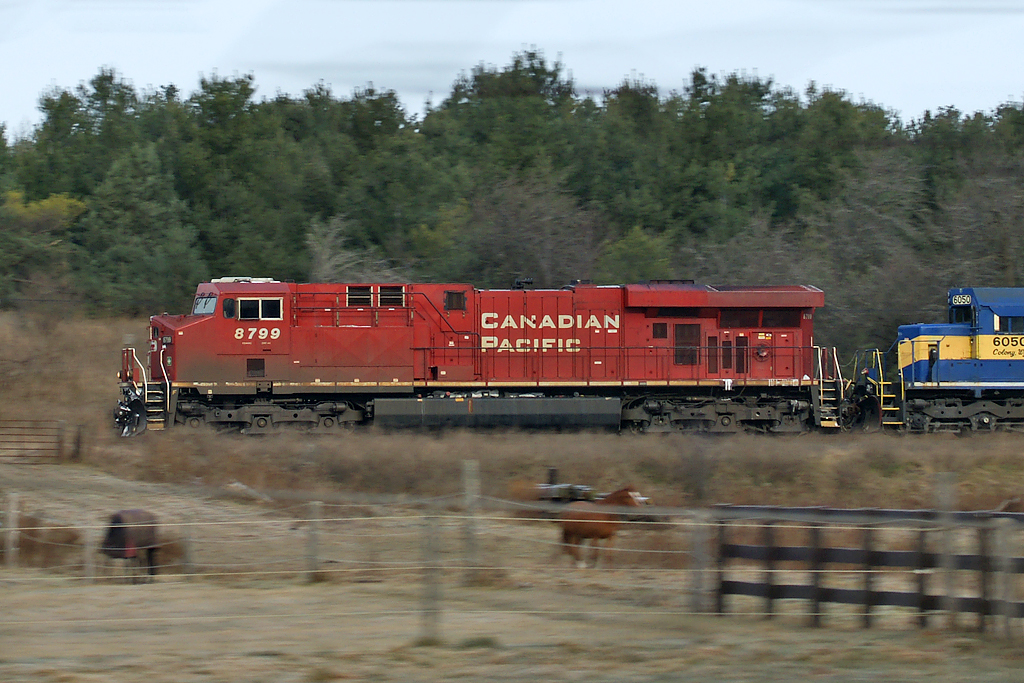 Pacing shot in horse country.