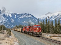 Coal loads from the Powder River Basin roll towards a crew change at Jasper behind CP AC4400CW 9519, CP ES44AC 8729 and CN ES44DC 2334.