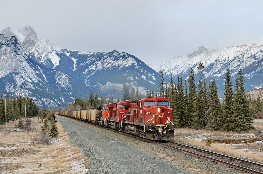 Coal loads from the Powder River Basin roll towards a crew change at Jasper behind CP AC4400CW 9519, CP ES44AC 8729 and CN ES44DC 2334.