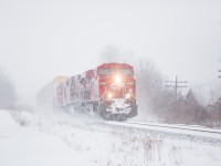 CP 8863 CP 9776 CP 8243 CP 8222 W at Melrose Diamond with 113 cars in a blizzard. 