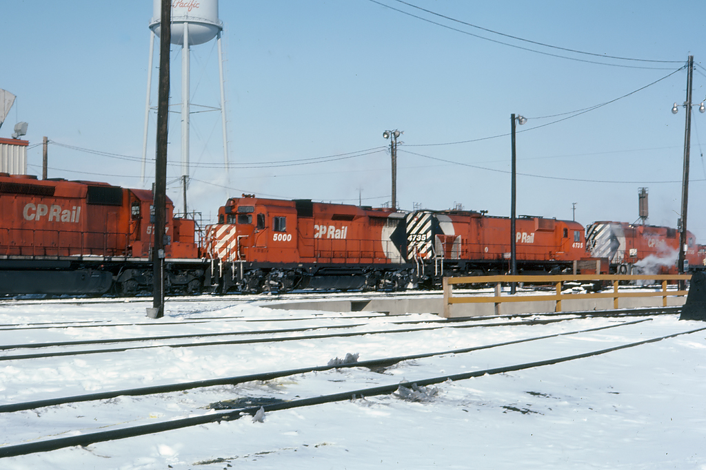 Every once in a while something rare showed up at Agincourt. Or course, in those days, you could also sign a release form and go for a walk.