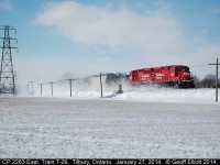 CP 2263 leads CP train T-29 as it rounds the curve in Tilbury, Ontario.  RTC had issues this morning with switches in Windsor which delayed the train's departure.  Once out on the main T-29 was getting restricting and stop signals along the line as the cold and snow was screwing with the signal system.  Eventually they were able to get clear signals and T-29 was able to speed along to Chatham to do it's work.