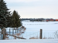 It might look like a CSX intermodal train. But in reality it's CP 641, an empty crude oil train flying westwards with a cut of intermodal off of CP 142. 
