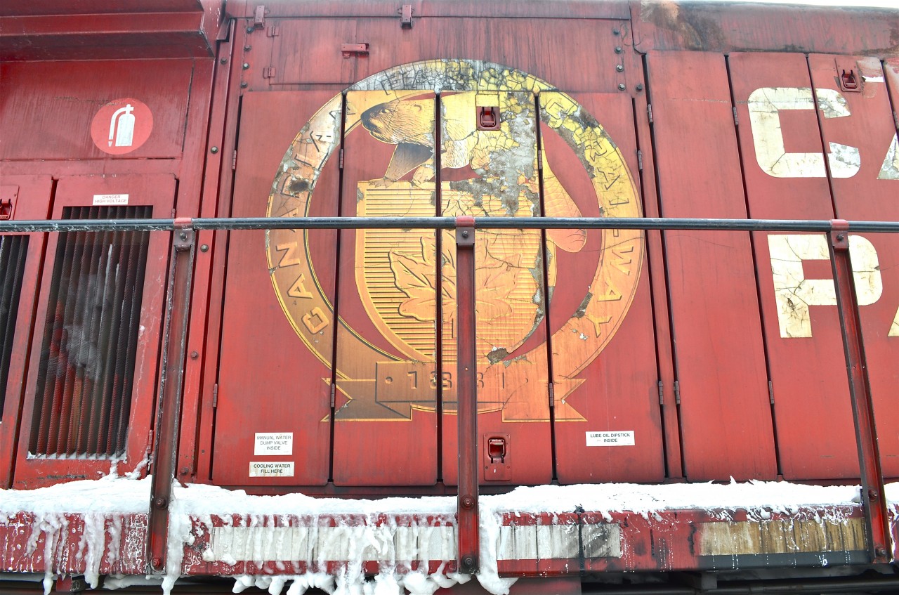 A faded beaver is seen on CP 9644, stopped at Lachine station.