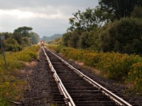 I don't know if this is the sort of image that is accepted on this site, but going through my files, something about it just grabs me. I figured I'd give it a shot. Running over old, rough and twisted rails, HCRY 912 plods east away from the setting sun.