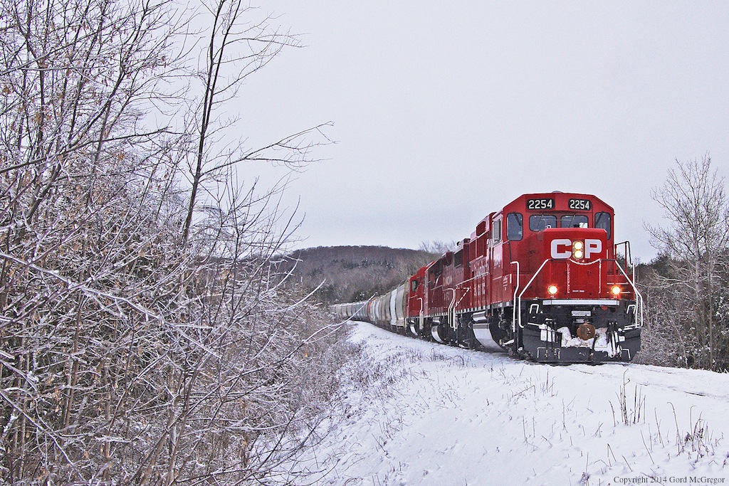 A Chilly start to the year for T08 in Balsam Ontario.