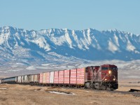 CP 9646 is climbing the grade out of Cowley Alberta towards Pincher Creek on a nice but very windy January day. 
