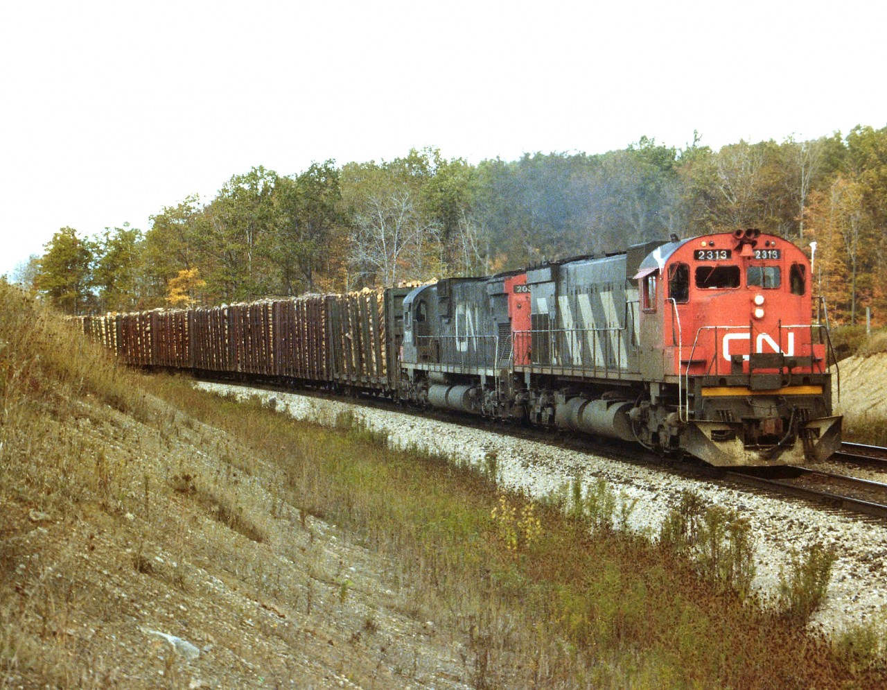 One particular day, full of adventure, I decided to pick up the Pulp Train and follow it right from Mac Yard down to Niagara. In the late 70's a run like this was easy; the highways were lightly travelled and devoid of all the crazies that left their brains at home. Pacing the train was smooth. This view of the southbound about to cross Tremaine Rd in North Burlington behind CN 2313 and 2030 shows the head-end loads for that big Pulp & Paper facility in Thorold; Ontario paper I think it was called back then. Why white "Extra" flags for a regularly scheduled freight? I dunno......Anyone??