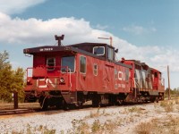 This caboose and diesel worked a lot out of Port Robinson area....