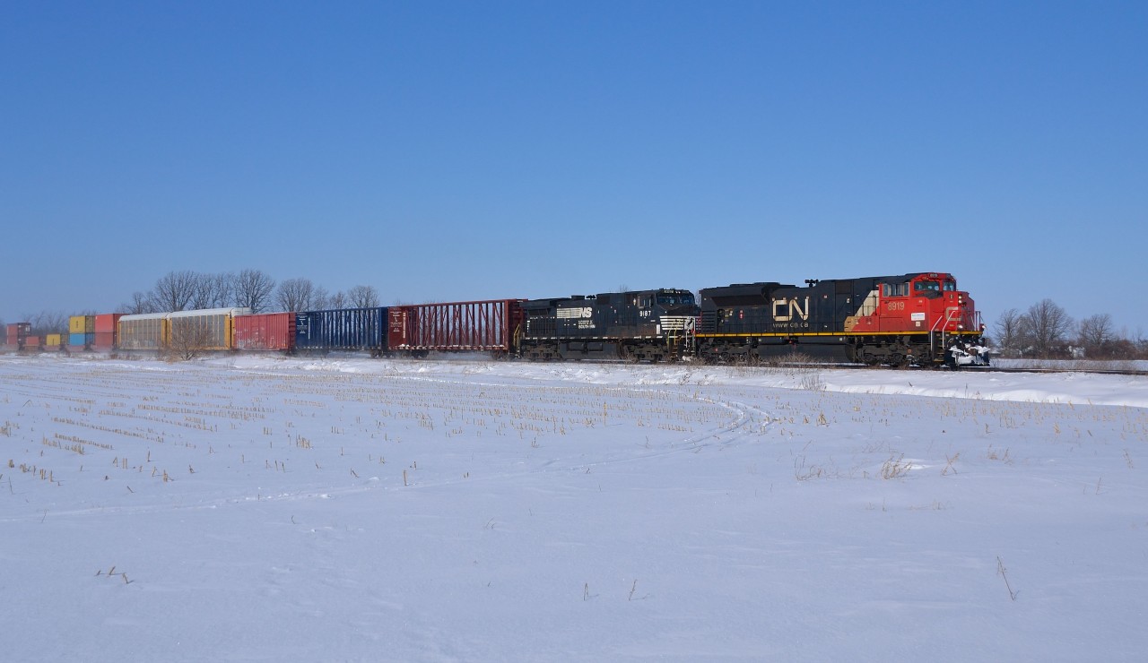 CN 384 led by CN 8919 & NS 9187 approaches Waterworks Road after just departing Sarnia