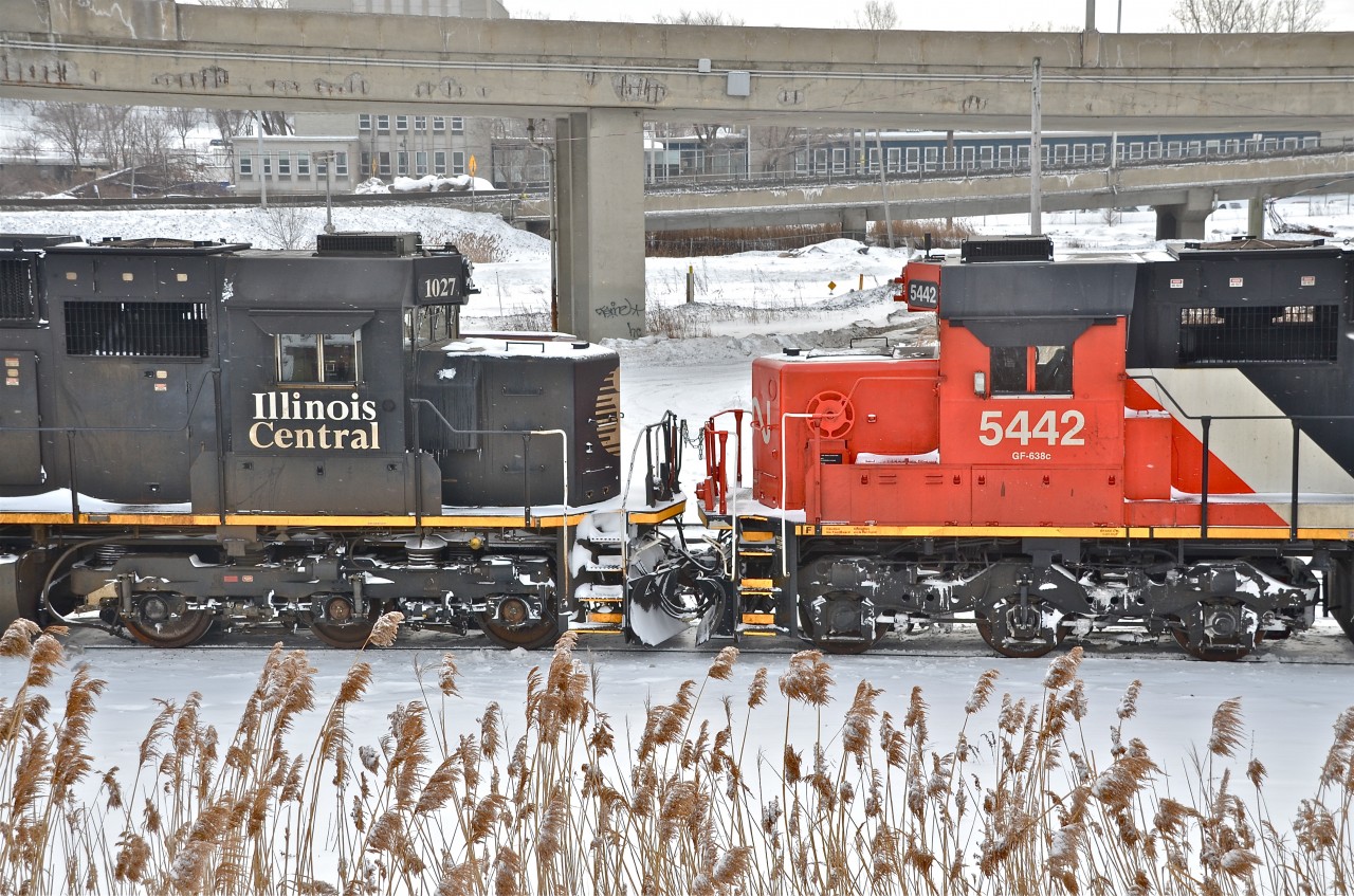 Nose to nose. An IC SD70 and a CN SD60 (ex-Oakway) are coupled nose to nose and are trailing CN 2587. They are stopped at Turcot West with CN 704, in the middle of setting out some cars. For more train photos, click here.