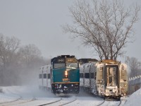 <i><b>Meet at (slow) speed.</b></i> At left VIA 6401 is heading west with VIA 67 and is slowing down for its station stop at Dorval. At right, VIA 6404 is leading VIA 52 eastbound after making its station stop at Dorval. For more train photos, click <a href=http://www.flickr.com/photos/mtlwestrailfan/>here.</a>