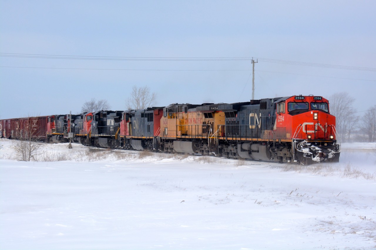 CN2594 leads UP6434, CN2449, NS8432, CN 2511 and CN2648 east bound at Camlachie Road near Wyoming, Ontario.