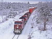 113 sails through the Winter wonderland approaching Cherrywood.