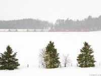 A seemingly endless winter as light flurries once again fall in Burketon Ontario.