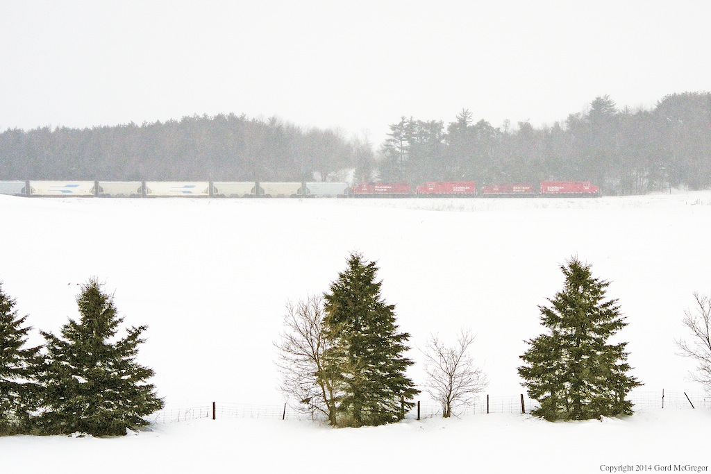 A seemingly endless winter as light flurries once again fall in Burketon Ontario.