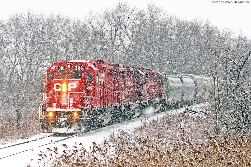 T07 in Heavy snowfall in Claremont Jan 2012.