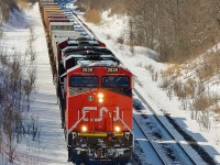 CN e/b coming down the Dundas Hill at the RBG when a deer makes a last mintue dash for it. He made it.