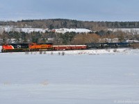 Starting into the climb to Newtonville, CN 8008, and BNSF 7483 and unseen mid train DPU IC 1010 power 305's train past frozen farm fields west of Port Hope. 1554hrs.