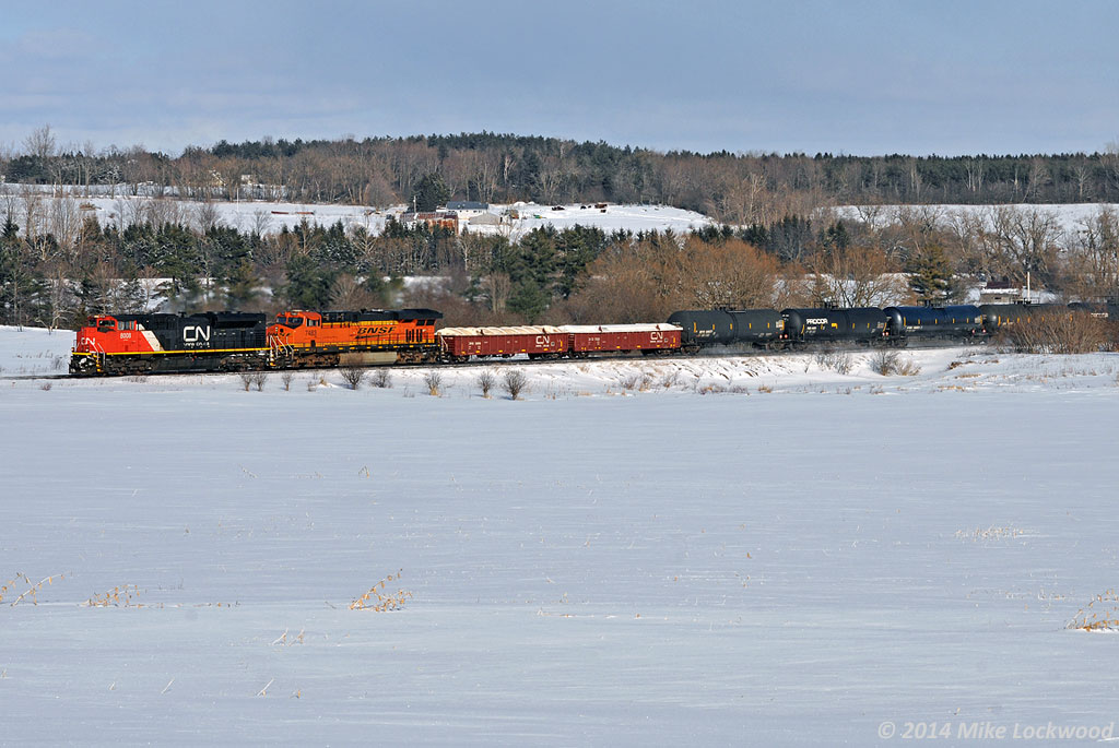 Starting into the climb to Newtonville, CN 8008, and BNSF 7483 and unseen mid train DPU IC 1010 power 305's train past frozen farm fields west of Port Hope. 1554hrs.