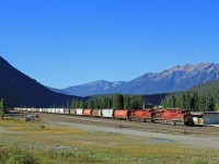 Waiting on a crew change at Field, CP 8702 and 9658 will be in charge of grain empties heading east over the Laggan Sub to Calgary.