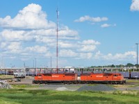 A pair of Red Barns (9004 and 9009) bask in the sun on the north side of Moose Jaw yard.