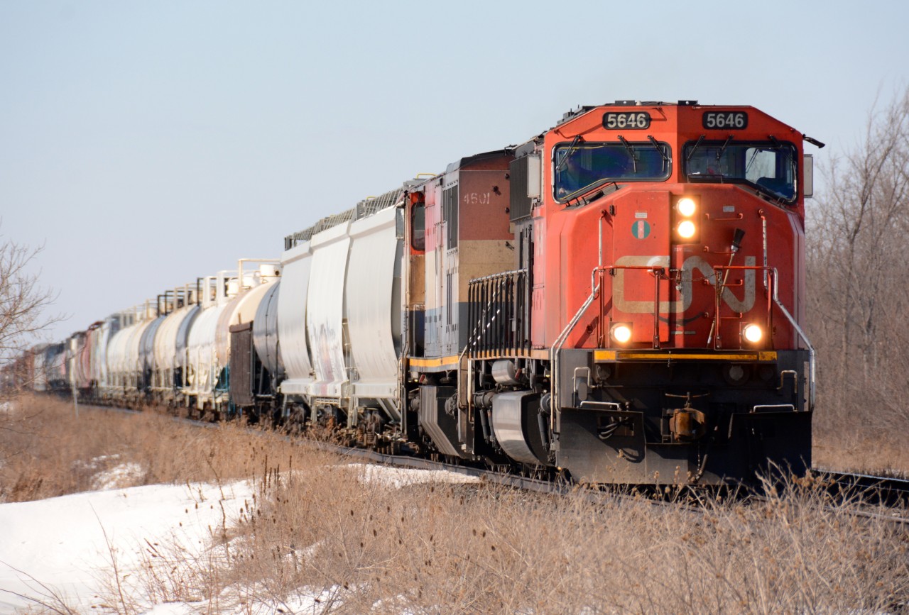 CN5646 east bound at Waterworks Road with BC4601.