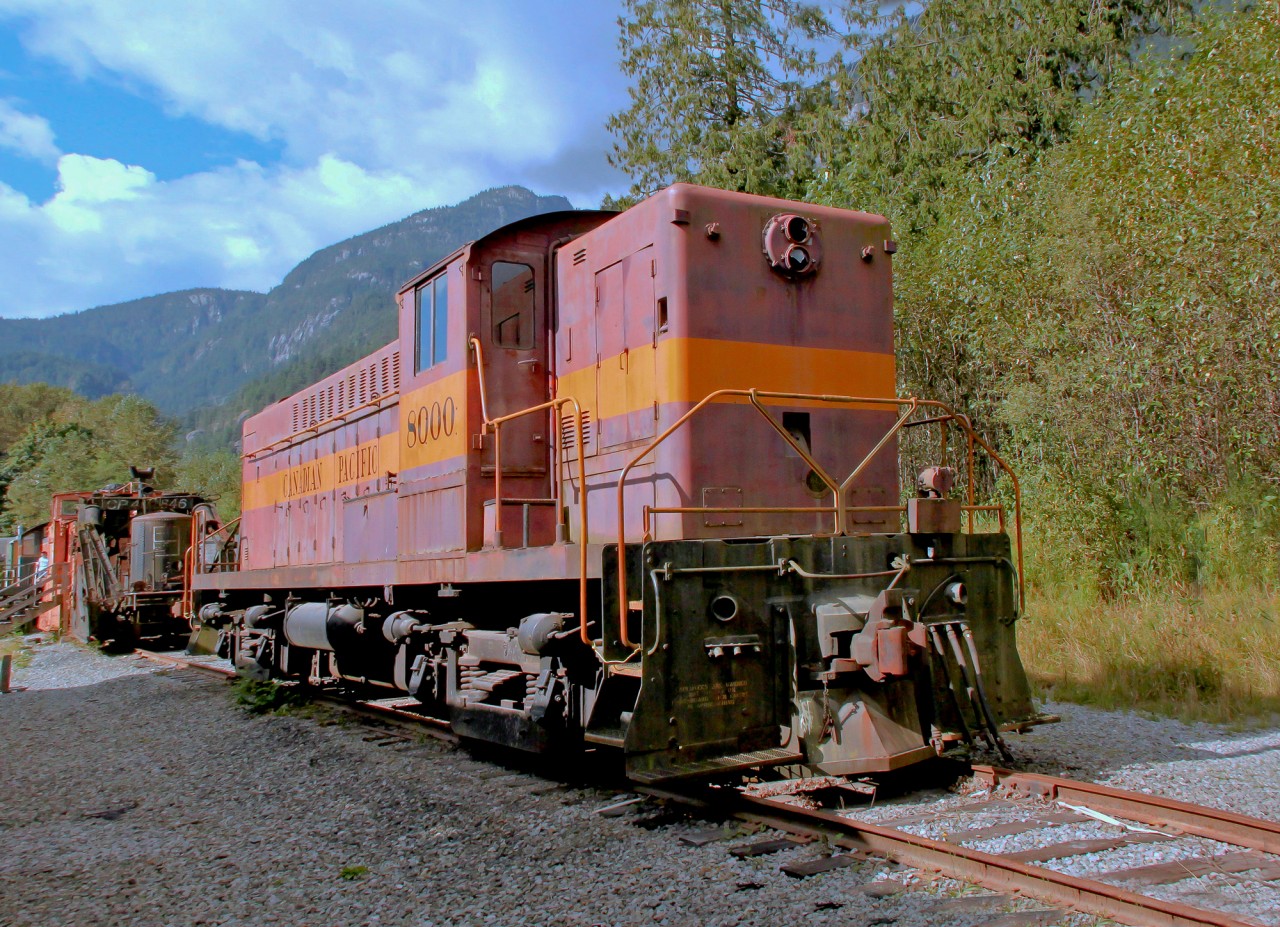The first unit of the 8000 series, Baldwin-built DRS 4-4-1000 #8000, was the first diesel road unit on CP.  First used on CP's Esquimalt & Nanaimo Railway on Vancouver island in 1948.  She was retired in 1975 and now resides at the West Coast Heritage Railway Park in Squamish, BC.