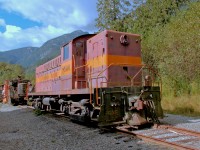 The first unit of the 8000 series, Baldwin-built DRS 4-4-1000 #8000, was the first diesel road unit on CP.  First used on CP's Esquimalt & Nanaimo Railway on Vancouver island in 1948.  She was retired in 1975 and now resides at the West Coast Heritage Railway Park in Squamish, BC.