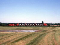 To follow up on Arnold's great Ferguson Avenue photo of the CN Steel Train, here's a photo of it running along the Hagersville Sub near Rymal on the Niagara escarpment, with a nice matching zebra-striped A-B-A set lead by CN 9173.
<br><br>
[<i>Editor's notes</i>: CN for a time ran the Steel Train out of Hamilton with matching A-B-A sets of F7 units. While they were poor for switching, crews reportedly didn't mind as there was little switching done with the train. Occasionally a GP9 would be substituted for an ailing F.]
<br><br>
<i>Note: Geotagged location not exact.</i>