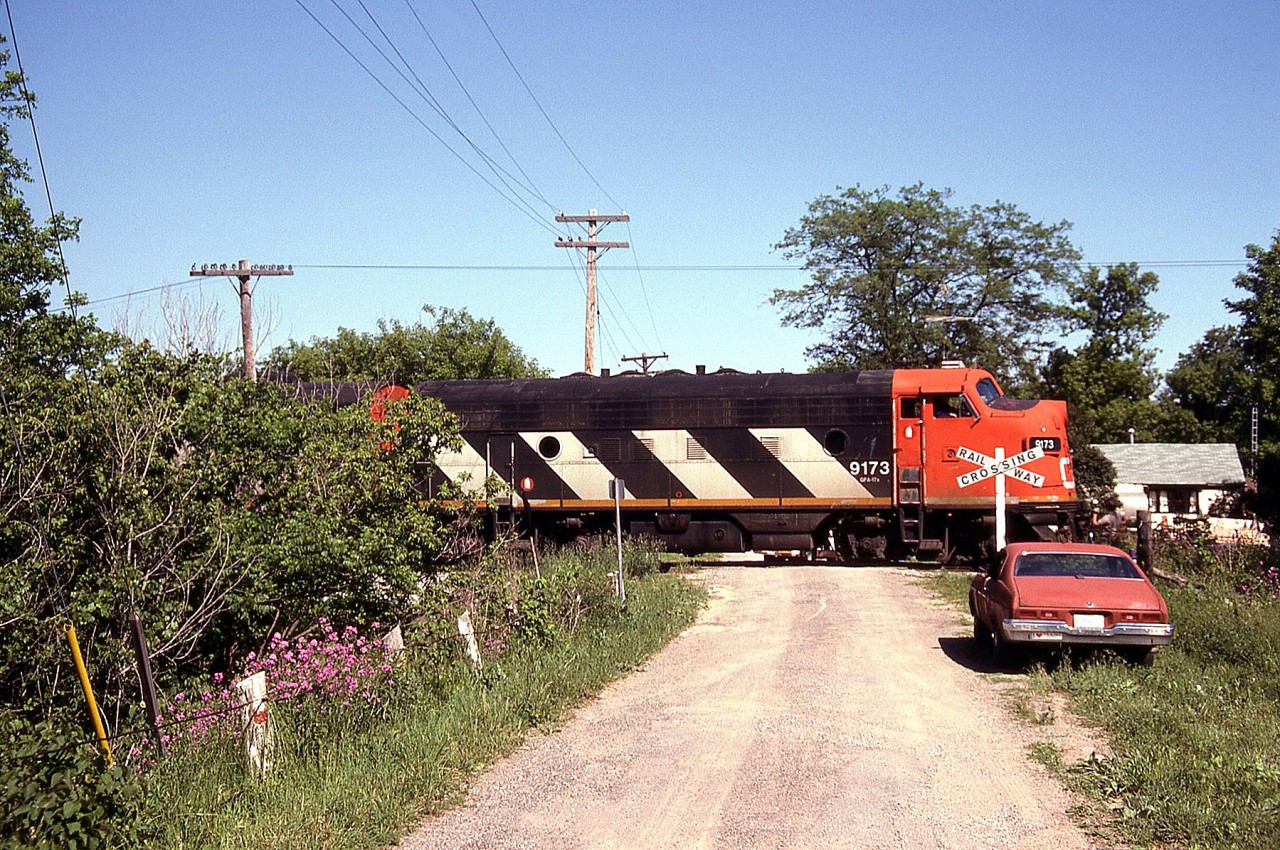 The CN Steel Train's leading F7A, 9173, emerges from the brush as it crosses over a railway crossing just east of the Grand River bridge in Caledonia (possibly the present-day Sutherland St. W).