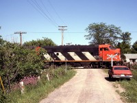 The CN Steel Train's leading F7A, 9173, emerges from the brush as it crosses over a railway crossing just east of the Grand River bridge in Caledonia (possibly the present-day Sutherland St. W).