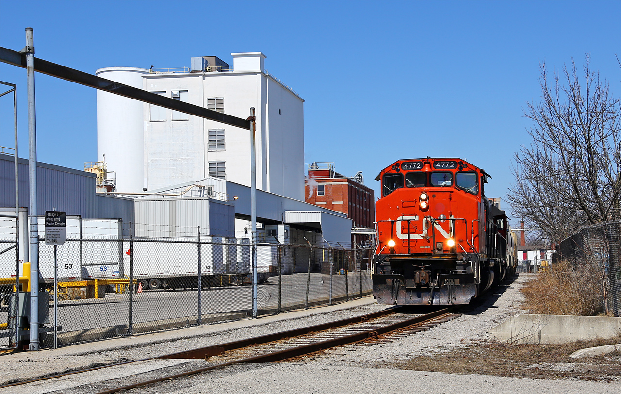 A Sunday morning 511 job is navigating the chicane around the 101 year old Kellogg's Cereal plant on their way back from lifting 7 cars at the CN-CP interchange adjacent to the CP Quebec street yard (geographically north of the CN yard). The plant is slated to close later this year, ending one of the longest-lasting London-area business operations. A couple of years back a tractor-trailer was struck by the yard job at this same crossing in what has become known as the "cereal killer accident". CN 4772 is noteworthy for having the entire conductor's side long hood painted solid black.