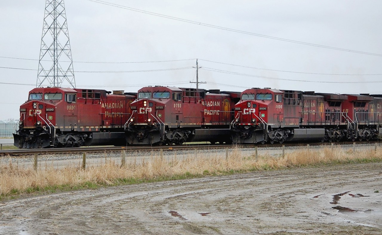 A meeting of "Beavers" outside Roberts Bank. CP 9590 has just arrived with a coal train while 9755 & 8606 are waiting to enter Deltaport with their loads of containers.