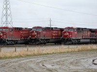 A meeting of "Beavers" outside Roberts Bank. CP 9590 has just arrived with a coal train while 9755 & 8606 are waiting to enter Deltaport with their loads of containers.