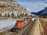 A pair of classic CN SD40-2Ws take the north track at Park Gate with an 85 car L513 made up of traffic from Hinton and Swan Landing.