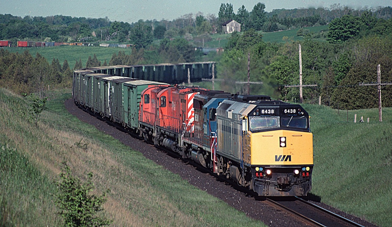 Leased VIA Rail FP40-2 #6438 leading a CP eastbound at Nichols Road, Newtonville, ON (approx MP 150.75, CP Belleville sub) in September 1989.